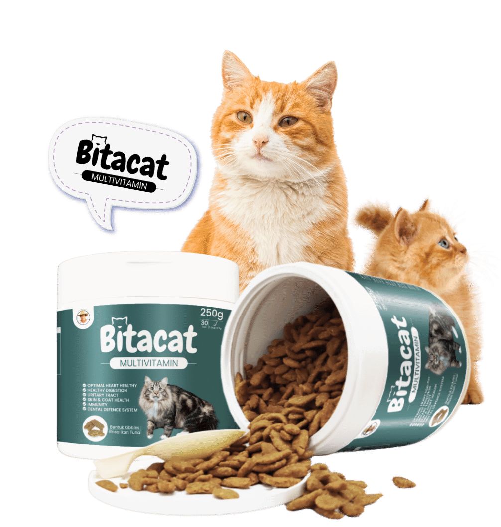 Bitacat Hq Bitacat Multivitamin Lengkap Untuk Kucing Anda